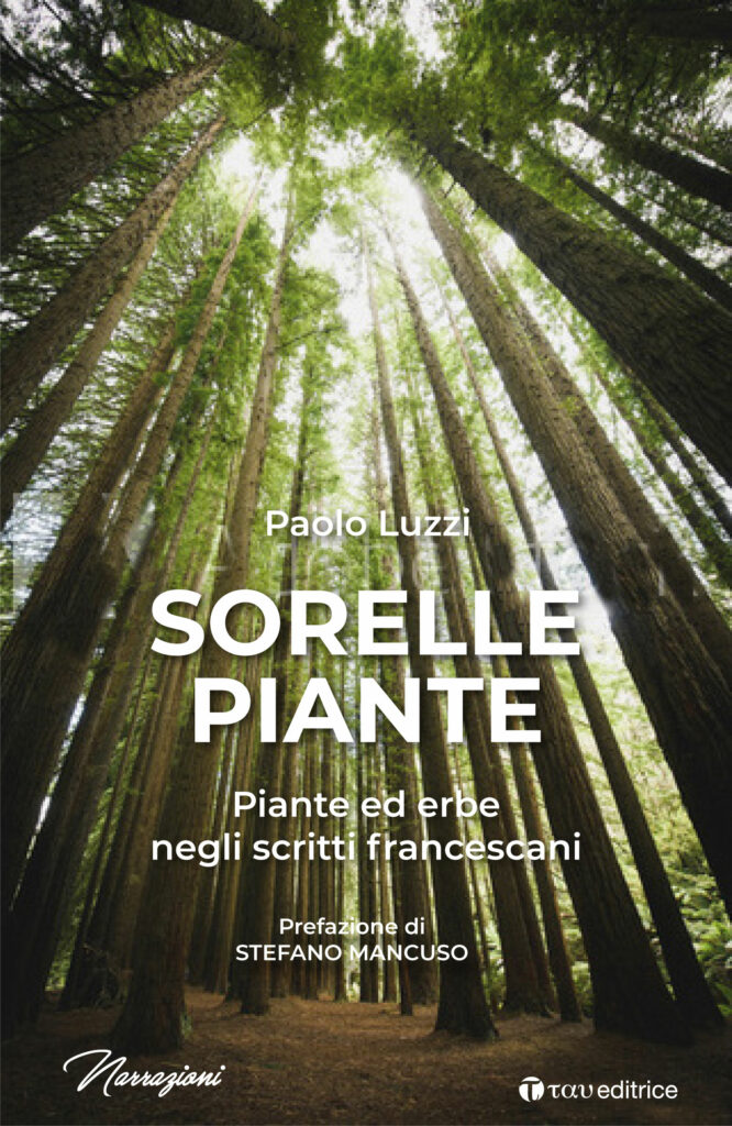 Sorelle piante