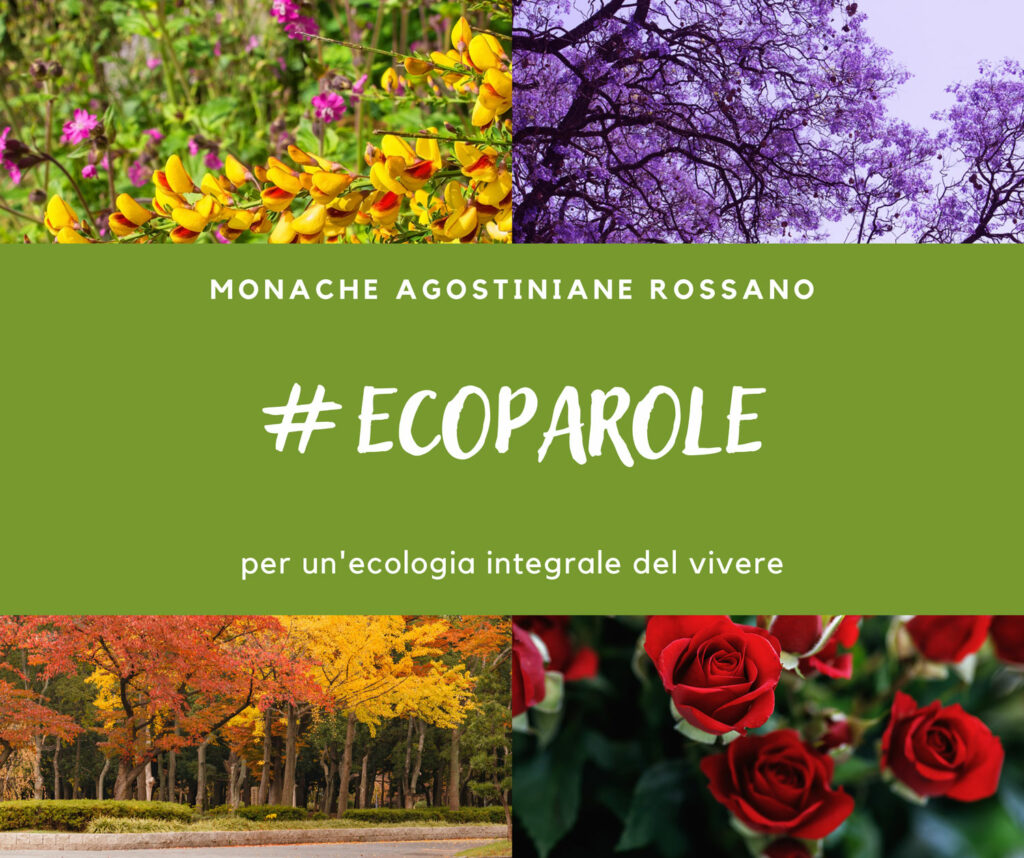 #Ecoparole